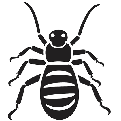termite pest control services